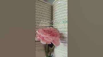 #ـسورة يوسف#قراءة_قرآن #ـراحة نفسية #اكسبلور #لايك