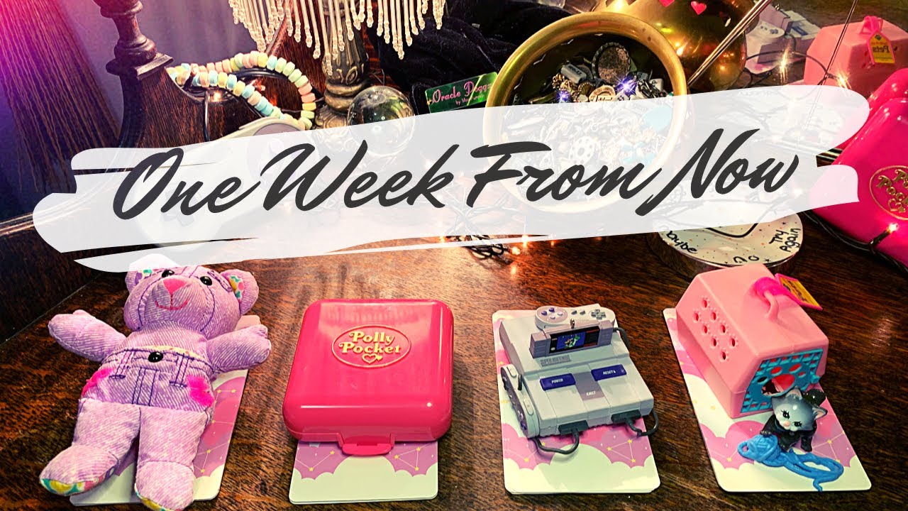 Pick a Card 🔮 The Next 7 Days From When You See This 💕 Tarot Card Reading