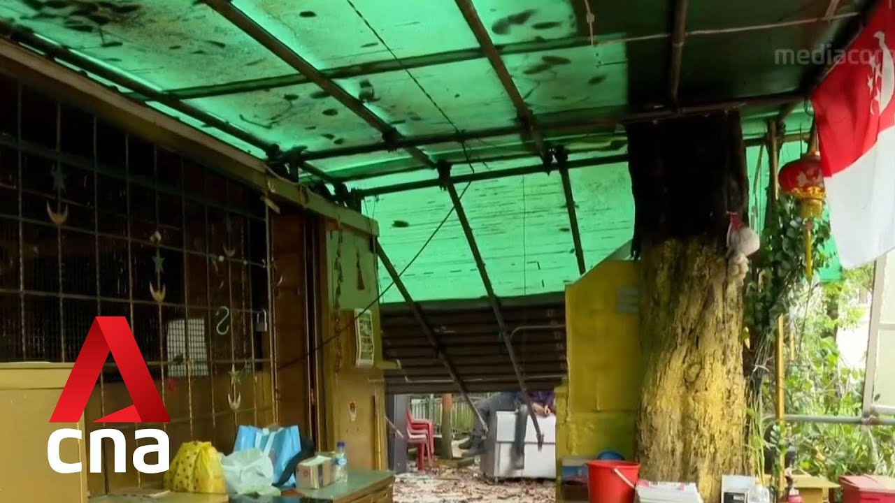 Makeshift shrine along Science Centre Road moving out after final deadline passes YouTube