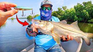 ESTE SEÑUELO SALVO mi DIA de PESCA