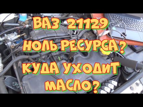 Двигатель ВАЗ 21129  1,6 16 клапанов 2019 год. Откуда расход масла на пробеге 30 тыс.км?