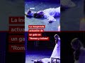 La inesperada actuación de un gato en “Romeo y Julieta” | BBC Mundo