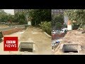 New video by BBC News on YouTube