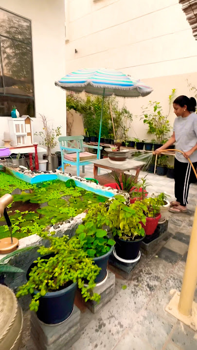 Good morning dears #naturelovers #gardening #gardenplants #uae #plants #home #greenlove #plants