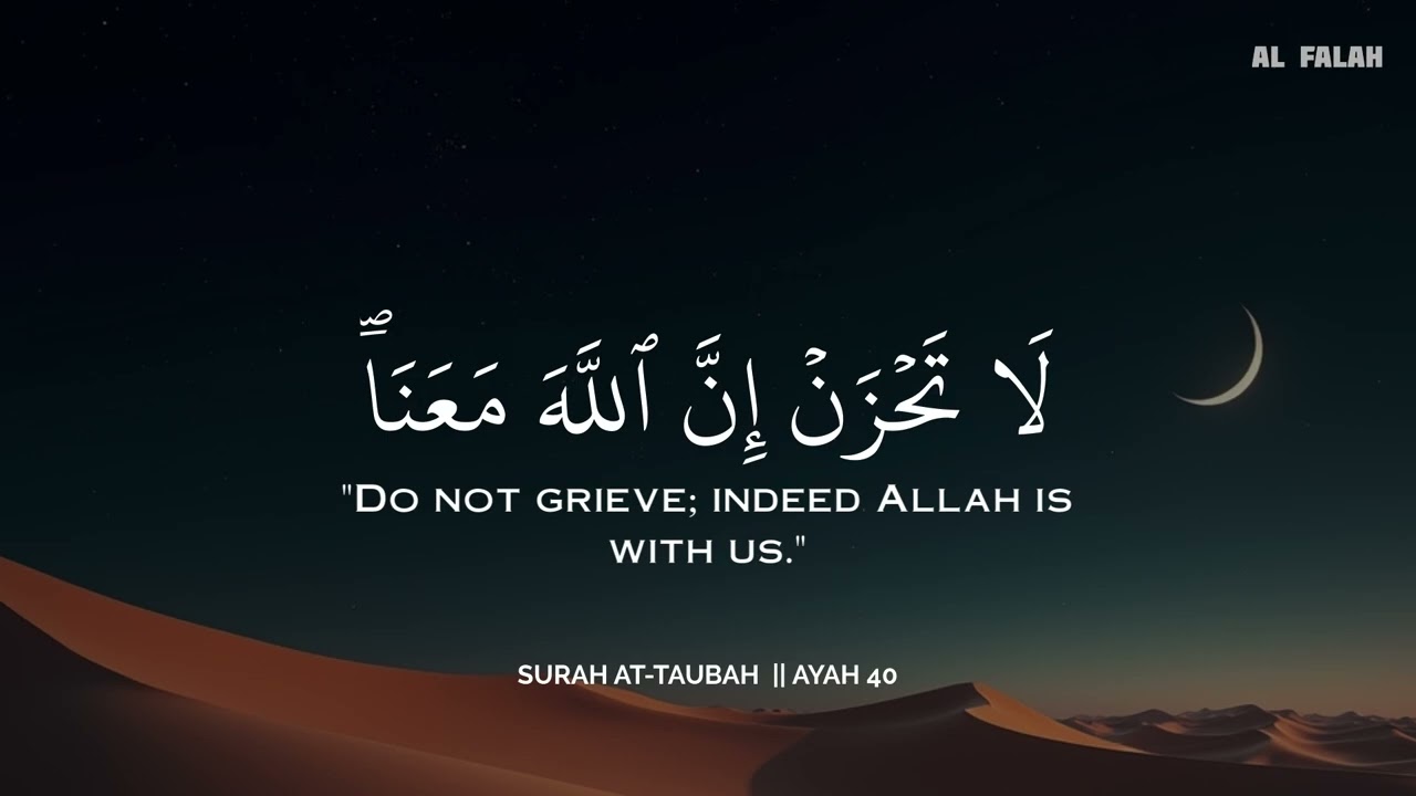 أرح سمعك وقلبك بالقرآن❤️🎧 وأستمع لتلاوة هادئه بصوت محمد هشام | راحة نفسية😌 | Mohamed Hesham