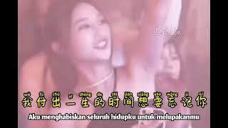 伍思凯  特别的爱给特别的你( DJ抖音女生版) Te Bie De Ai Gei Te Bie De Ni  Lirik Pinyin Terjemahan Indonesia