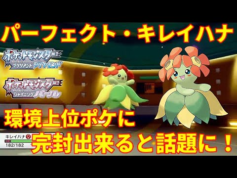 ポケモンbdsp パーフェクト キレイハナが環境上位のポケモンにブッ刺さりと話題に ダイパリメイク Youtube