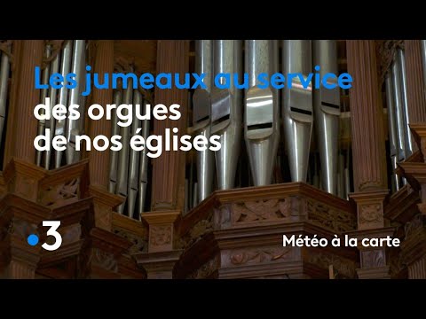 Vidéo: Informations sur l'entretien des tuyaux d'orgue Cactus