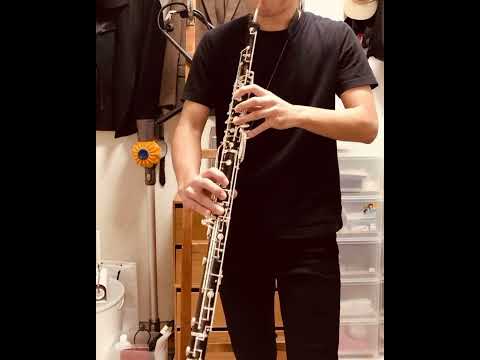 イングリッシュホルン　ボーカル　F.ロレー　1H イングリッシュホルン・ボーカル: Lorée (銀メッキ)