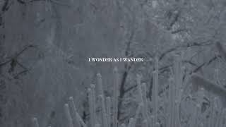 I Wonder as I Wander @LaureliAmadeus