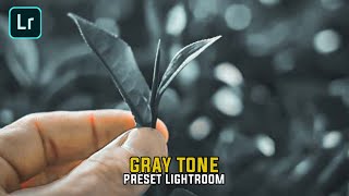 Preset Gray Tone Selebgram || Preset Lightroom Mobile screenshot 2