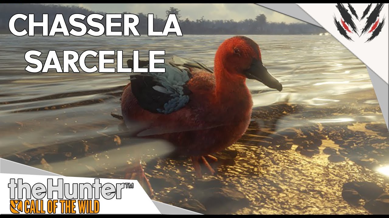 THE HUNTER CALL OF THE WILD : CHASSER LA SARCELLE [TUTO]
