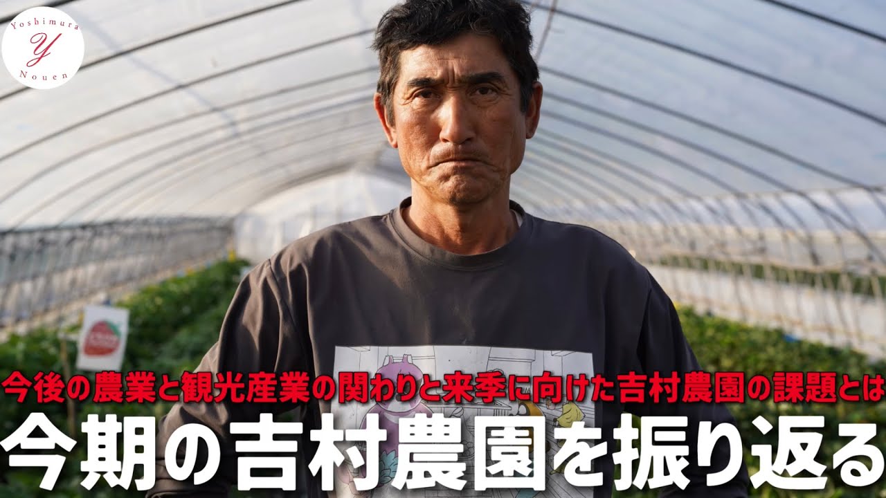いちご栽培】今シーズンの吉村農園を振り返る - YouTube
