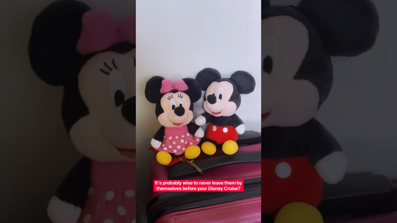 ￼Can you Imagine leaving your Disney BFFs at home?