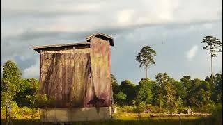 TEKTEKTEK SUARA BURUNG WALET LAGI KEJAR-KEJARAN DI RBW JALUR LINTASAN. RESPONNYA MANTAP.