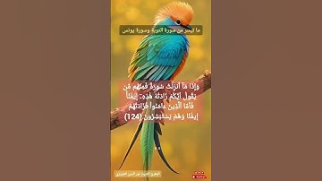 ما تيسر من سورة التوبة وسورة يونس بصوت الشيخ القدير نور الدين العزوزي مقرئالزمن الجميل