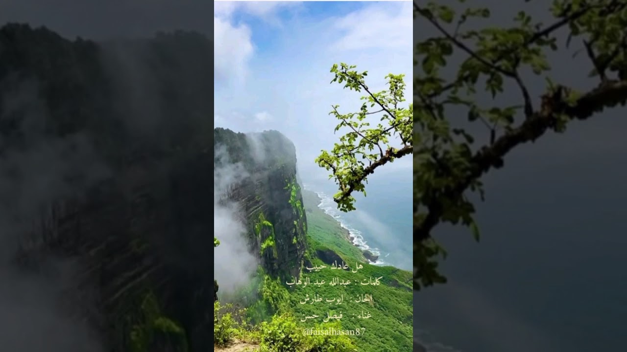 فيصل حسن هل عادك حبيب