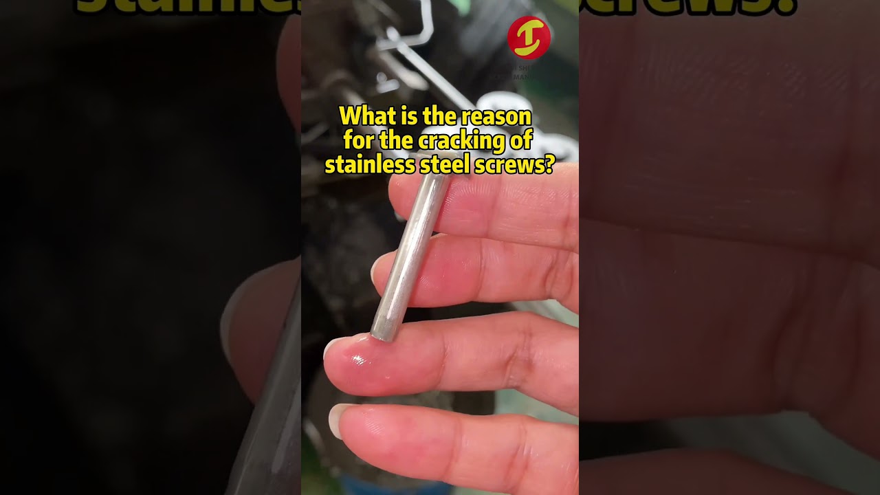 Stainless Steel Torx Socket Button Head Screws With Collar