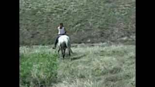 DSCN2351