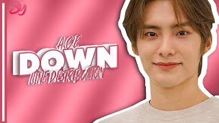 A.C.E  -「 DOWN 」- LINE DISTRIBUTION