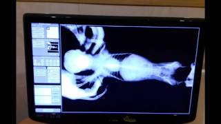 видео ветеринарный рентген аппарат цена