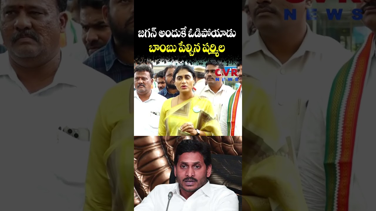 జగన్ అందుకే ఓడిపోయాడు... బాంబు పేల్చిన షర్మిల | Pulivendula ZPTC Elections | CVR NEWS