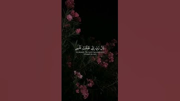 تلاوه من سورة القصص|بصوت الشيخ ياسر الدوسري🎧♥️#trending #quran #قران_كريم #راحة_نفسية #قرآن