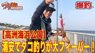 浦安でタコ釣りが大フィーバー 高洲海浜公園 Tokyo Bay Gangs Youtube 浦安でタコ釣りが大フィーバー 高洲海浜公園 Tokyo Bay Gangs Youtube