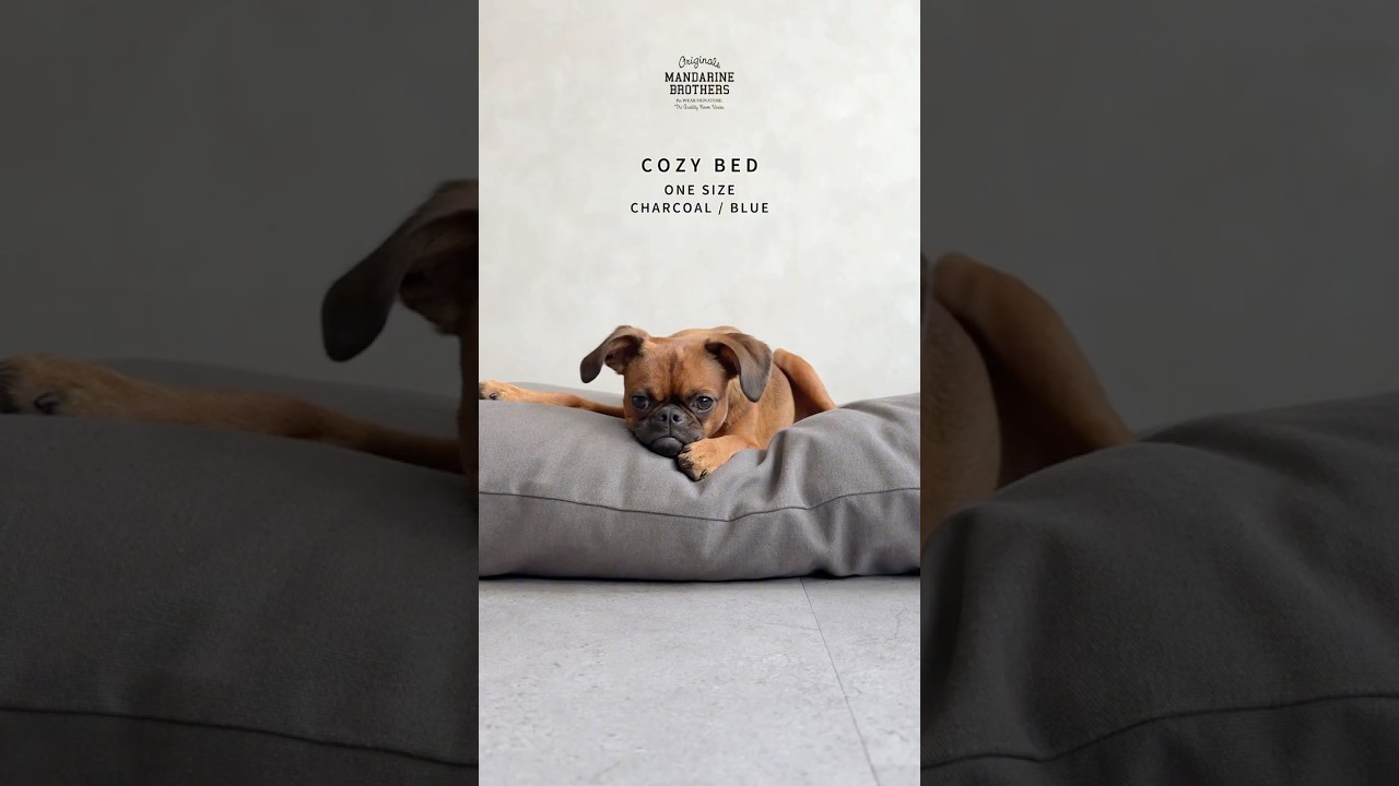 COZY BED コージーベッド | MANDARINE BROTHERS マンダリンブラザーズ