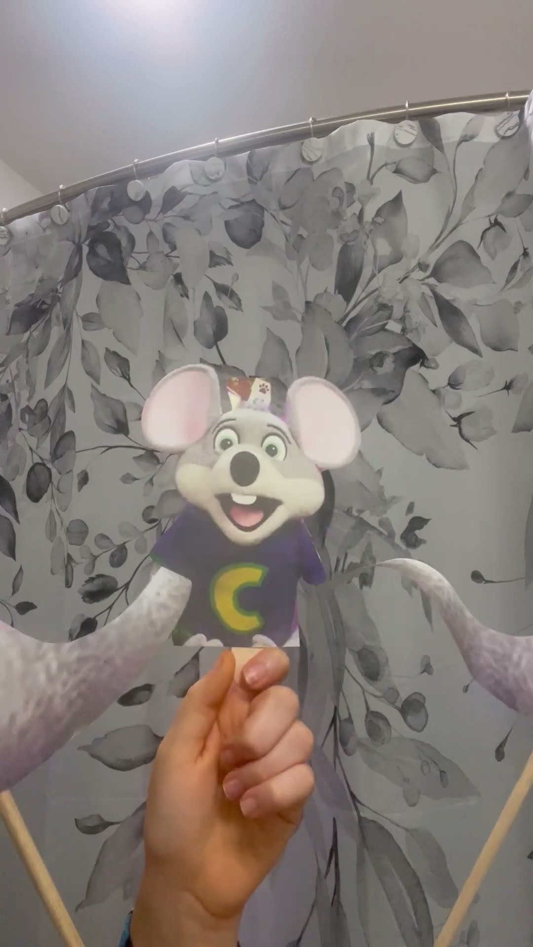 東京ディズニーリゾート40周年 “ドリームゴーラウンド