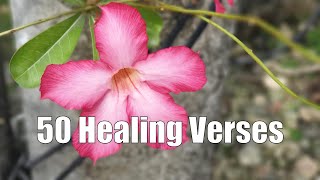 50 Healing Scripture Verses