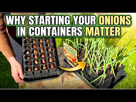 Onion Seeds or Sets? My Secrets for How to Successfully Grow Onions At Home - Beginners Guide