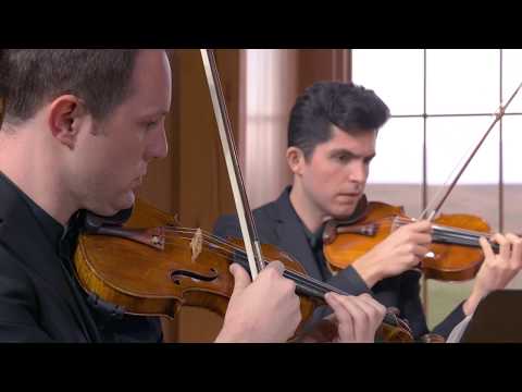 Bach Harpsichord Concerto No 5 F Minor BWV 1056 Largo Presto Calidore Quartet Foley McDermott