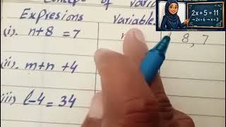 Concept of variable and constant in expressions grade 6 algebra 