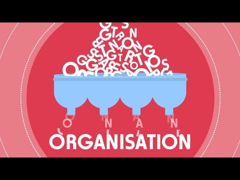 Organisation
