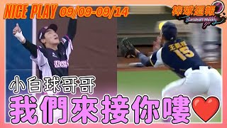 【2025棒球週報】NicePlay - 場上球員哥哥奮力接球｜場邊也有小球迷也想上本週NICE PLAY! #中華職棒 #陳晨威 #NICEPLAY