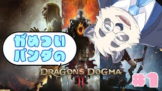 【初見プレイ！】がめついパンダのドラゴンズドグマ2  1ｶﾈｯ目【DRAGON'S DOGUMA2/ドラゴンズドグマ2】