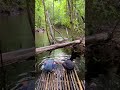 Rainy Day Routine in the Jungle Stilt House 🌧️ #Bushcraft