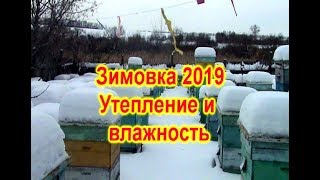 Зимовка 2019 Утепление и влажность