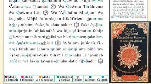 ختمة من مصحف التجويد باللغة الألمانية الصفحة رقم 337