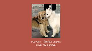 POLYCAT - ล้อเล่น (Lauren) | COVER