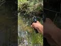 dag mump mag dump #airsoft #shorts #viral