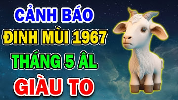 Tiết Lộ Chấn Động Tuổi Đinh Mùi 1967 Bất Ngờ Trúng Lớn, Tiền Vàng Chật Két Tháng 5 ÂM Lịch