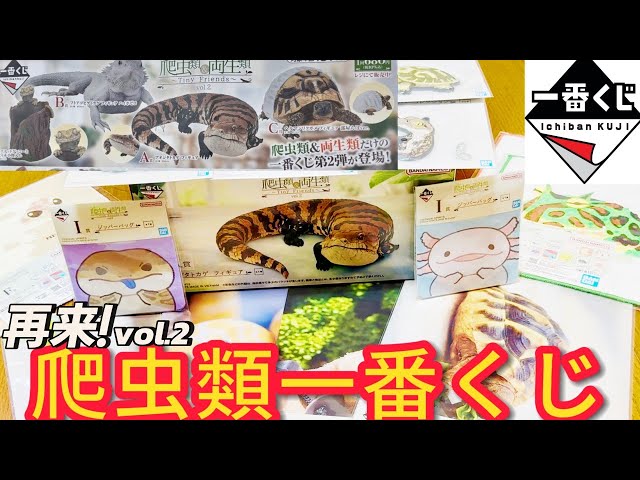 Ichiban Kuji] Only reptiles and amphibians. The results of the
