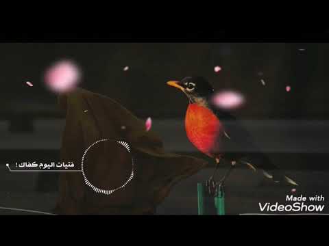 فتيات اليوم كفاك تركاضا خلف سراب عودي نحو الإسلام