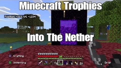 Minecraft Trophies Into The Nether