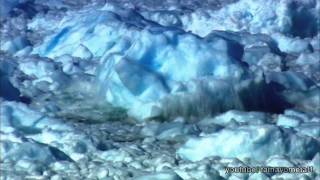 The Nature Conservancy - Discovery Channel/Animal planet [Comercial 2011/2012/2013][HD]
