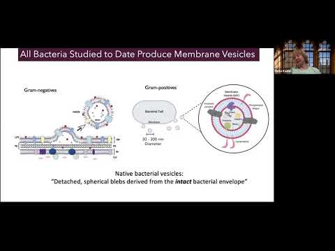 Bacterial Vesicle-Mediated Interkingdom Communication by Meta Kuehn