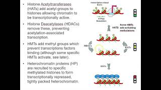 Topics in HB Epigenetics 2 Histone modifications
