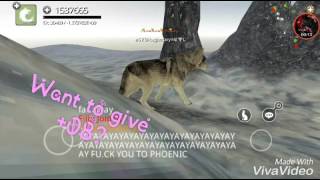 Wolf Online +08 pos code